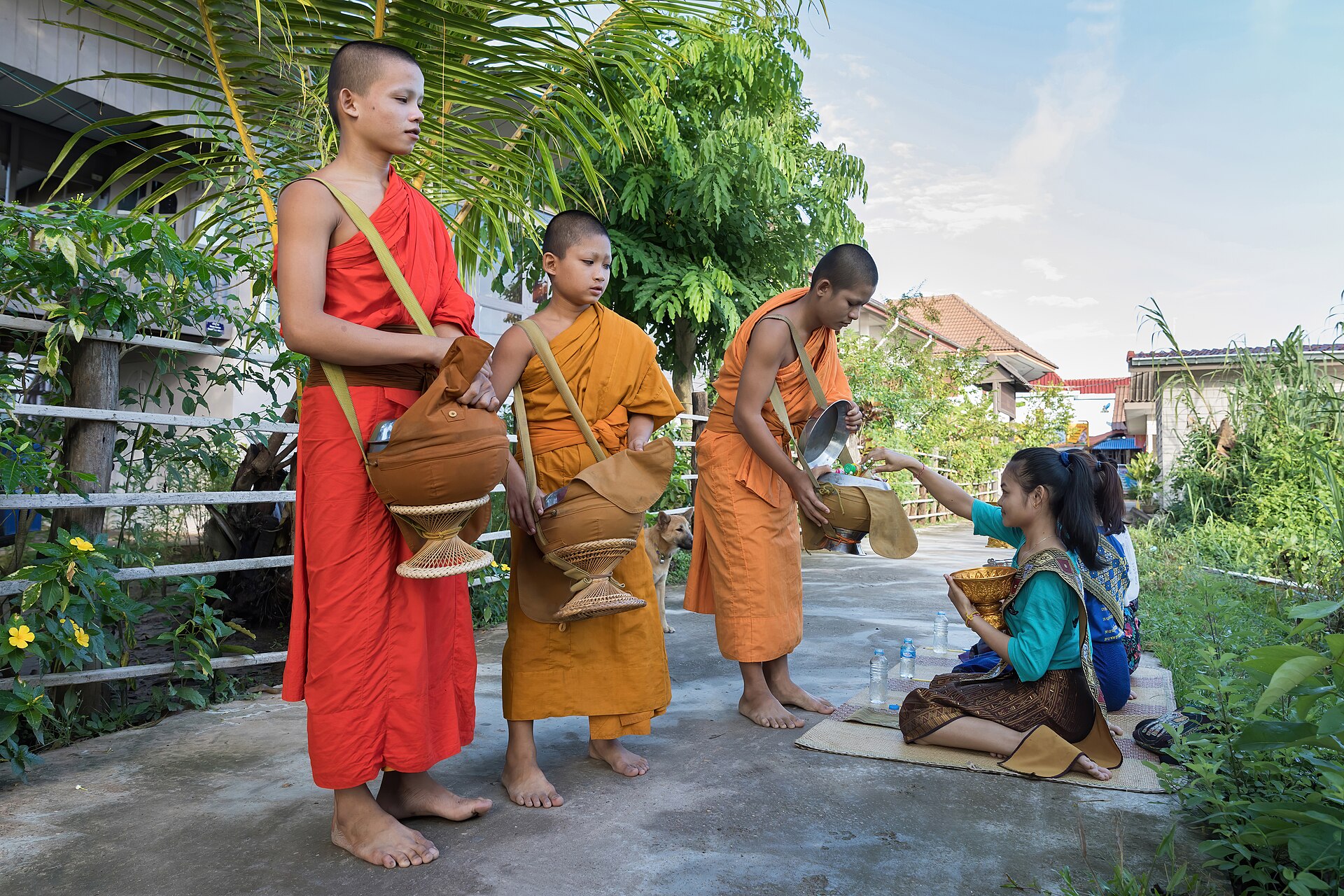 Young monks in saffron robes on their morning alms round in a Lao village