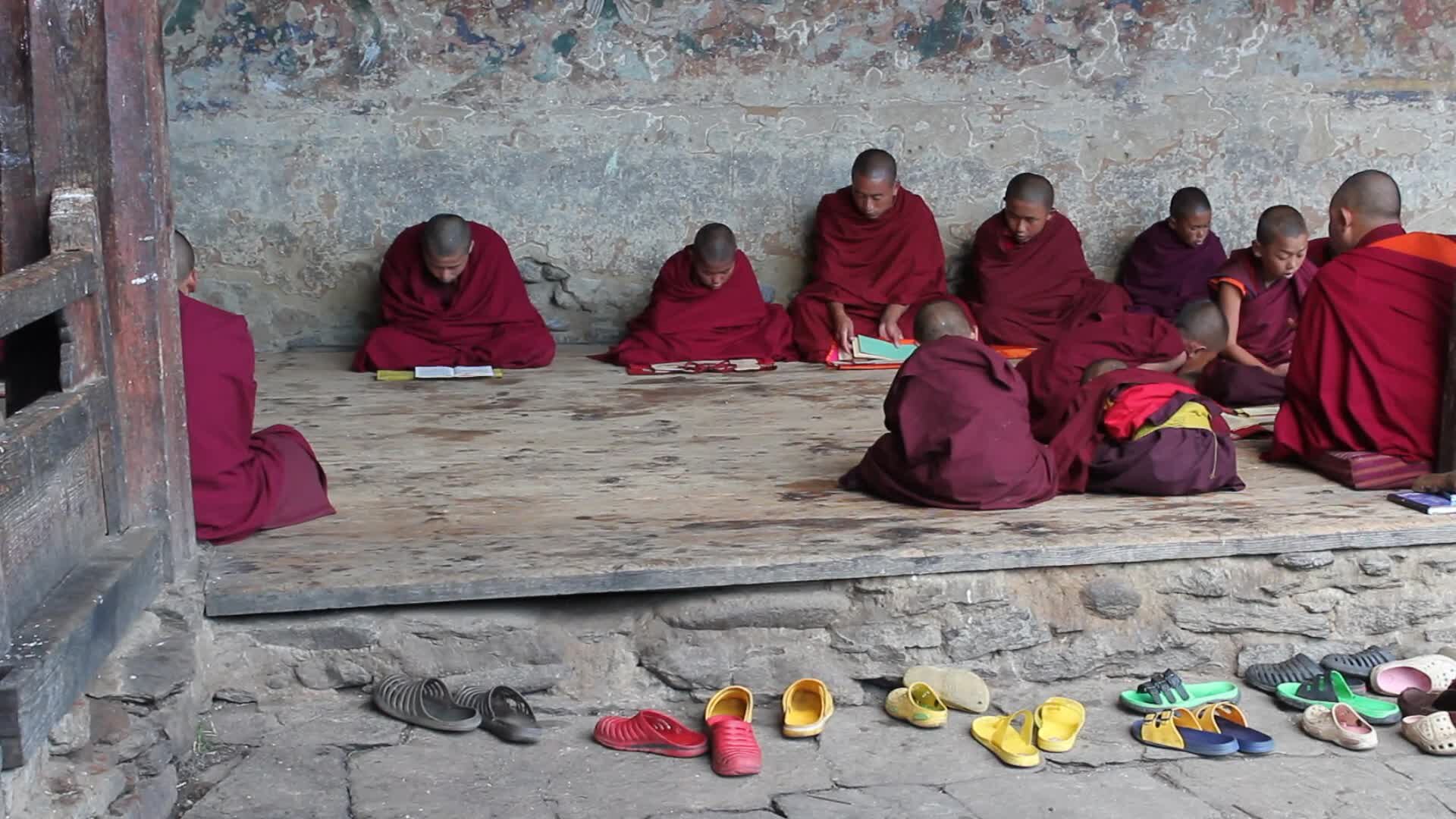 Young monks in a Bhutanese temple, seated with their texts